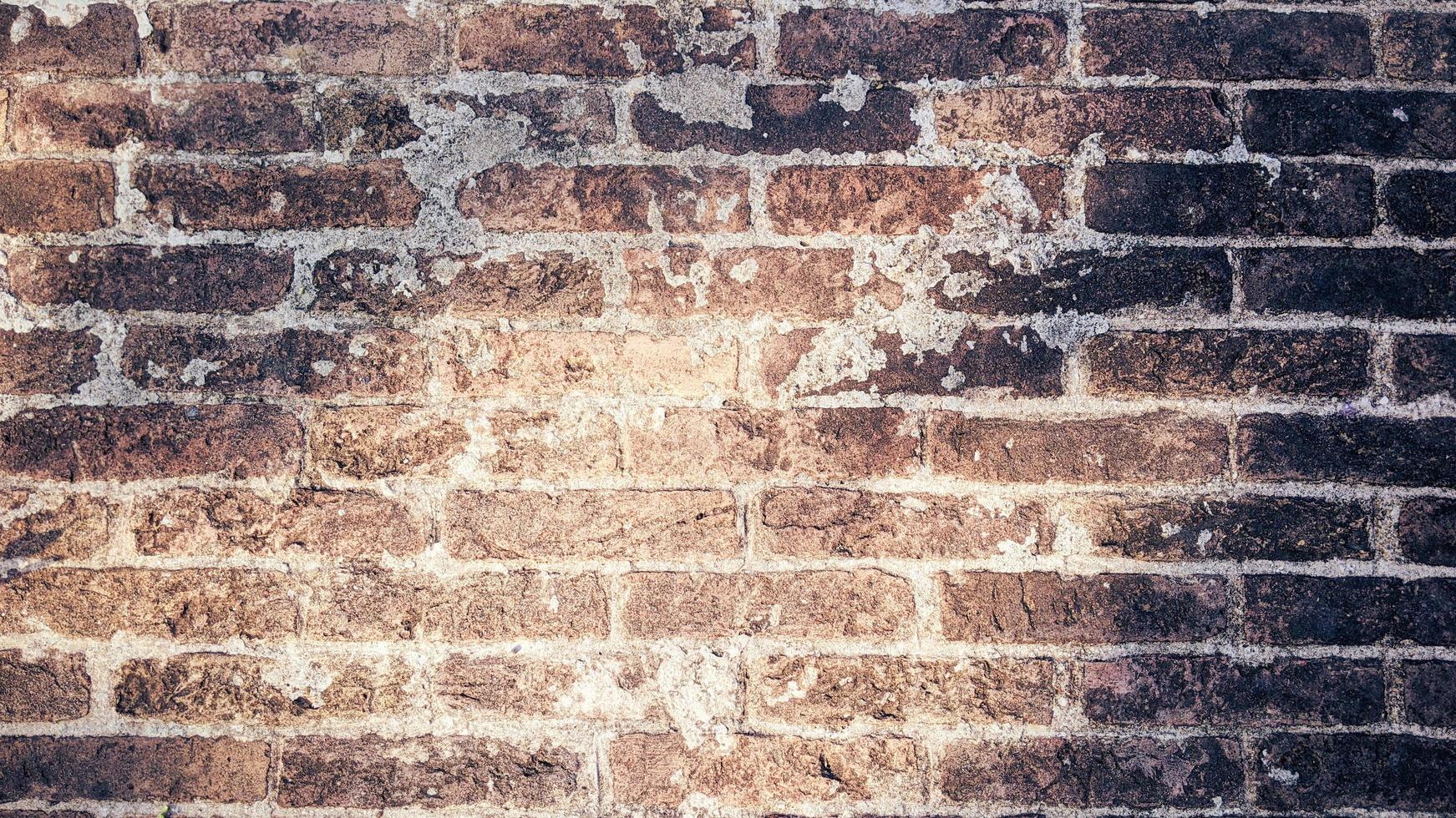 texture background of old brick photo