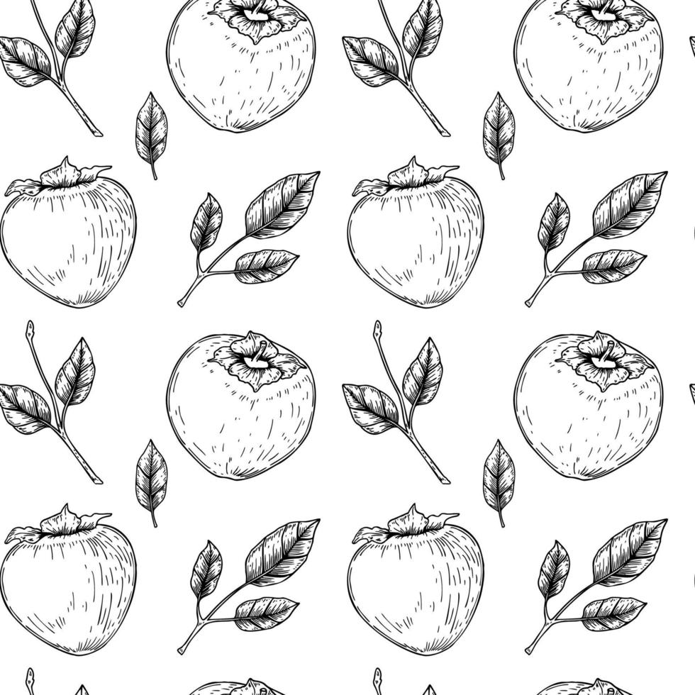vintage de patrones sin fisuras con frutas y hojas de caqui dibujado a mano. ilustración vectorial en estilo boceto. vector