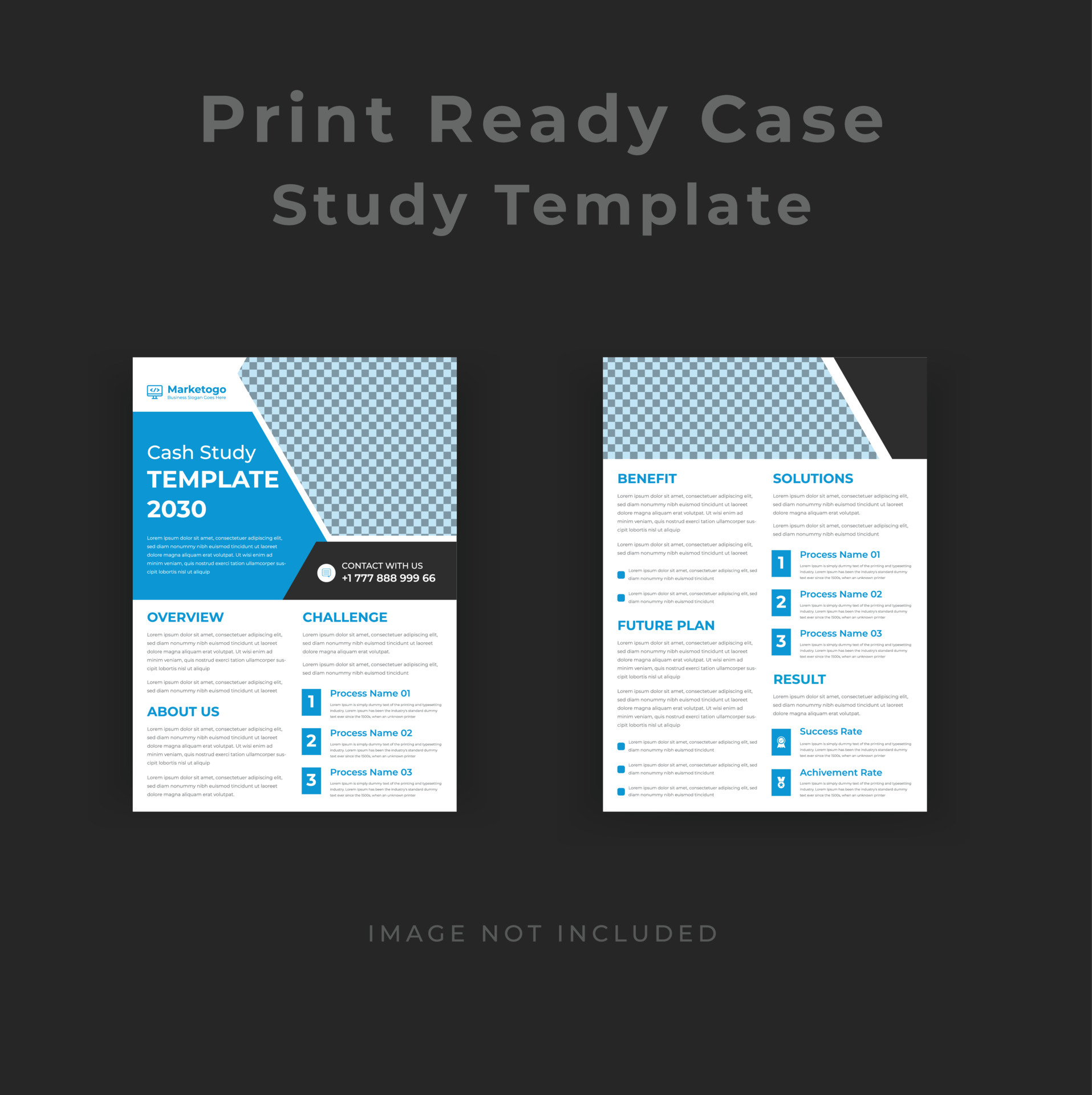 Business case study template word image