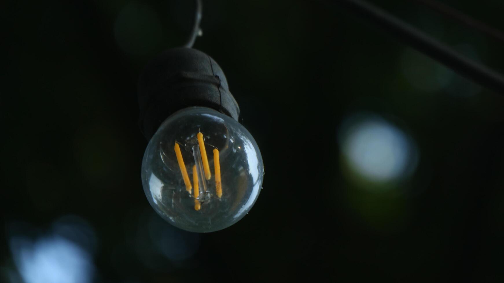 small lights with the background of bokeh trees photo