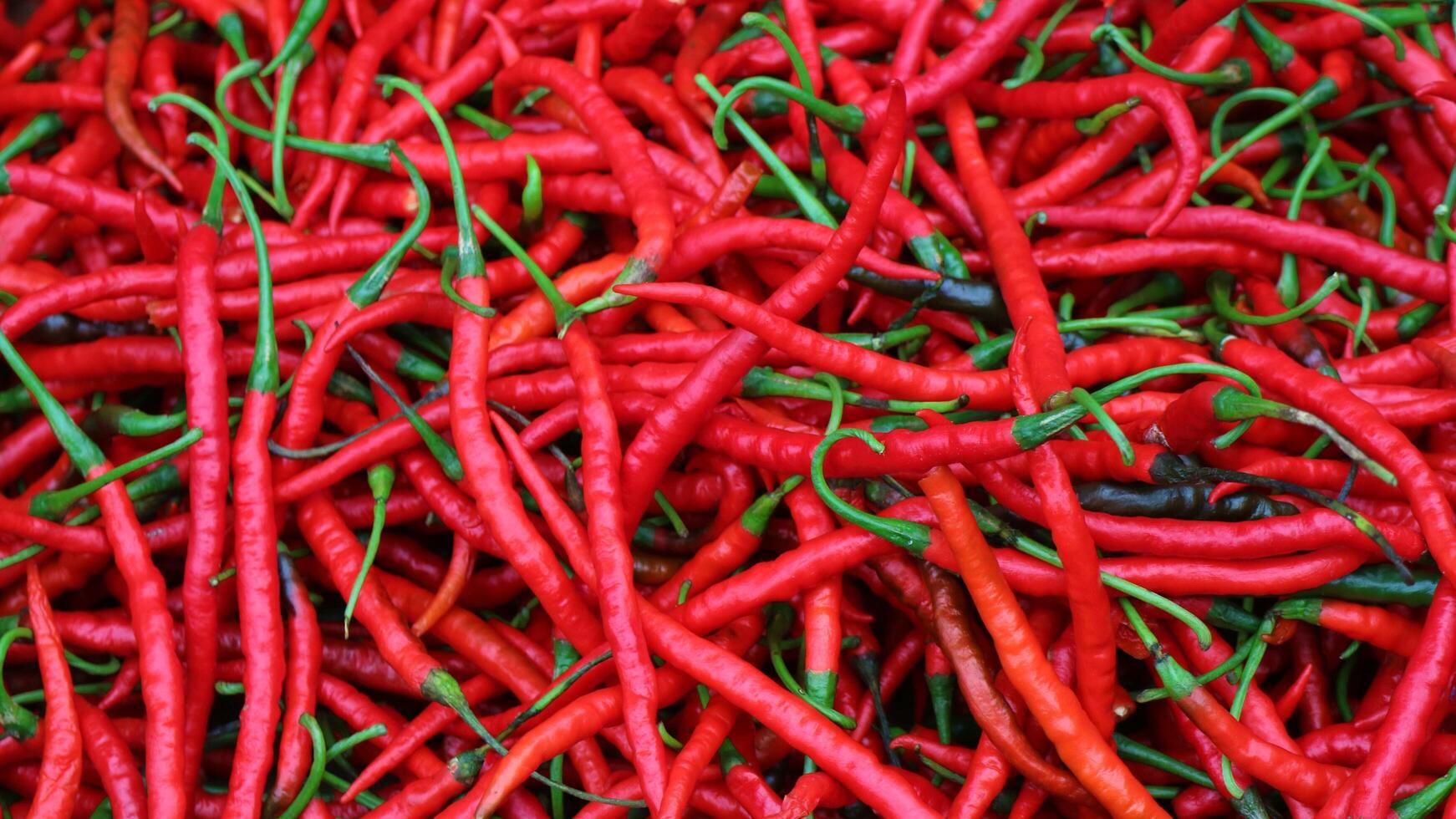 Chile rojo maduro maduro en la canasta para la venta en el mercado asiático de verduras foto