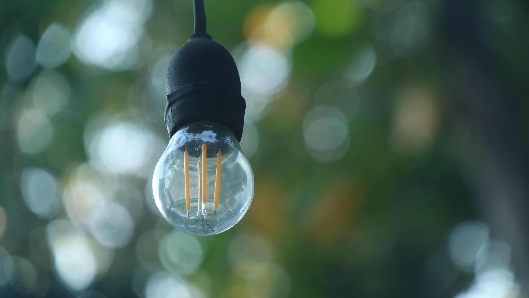 small lights with the background of bokeh trees photo