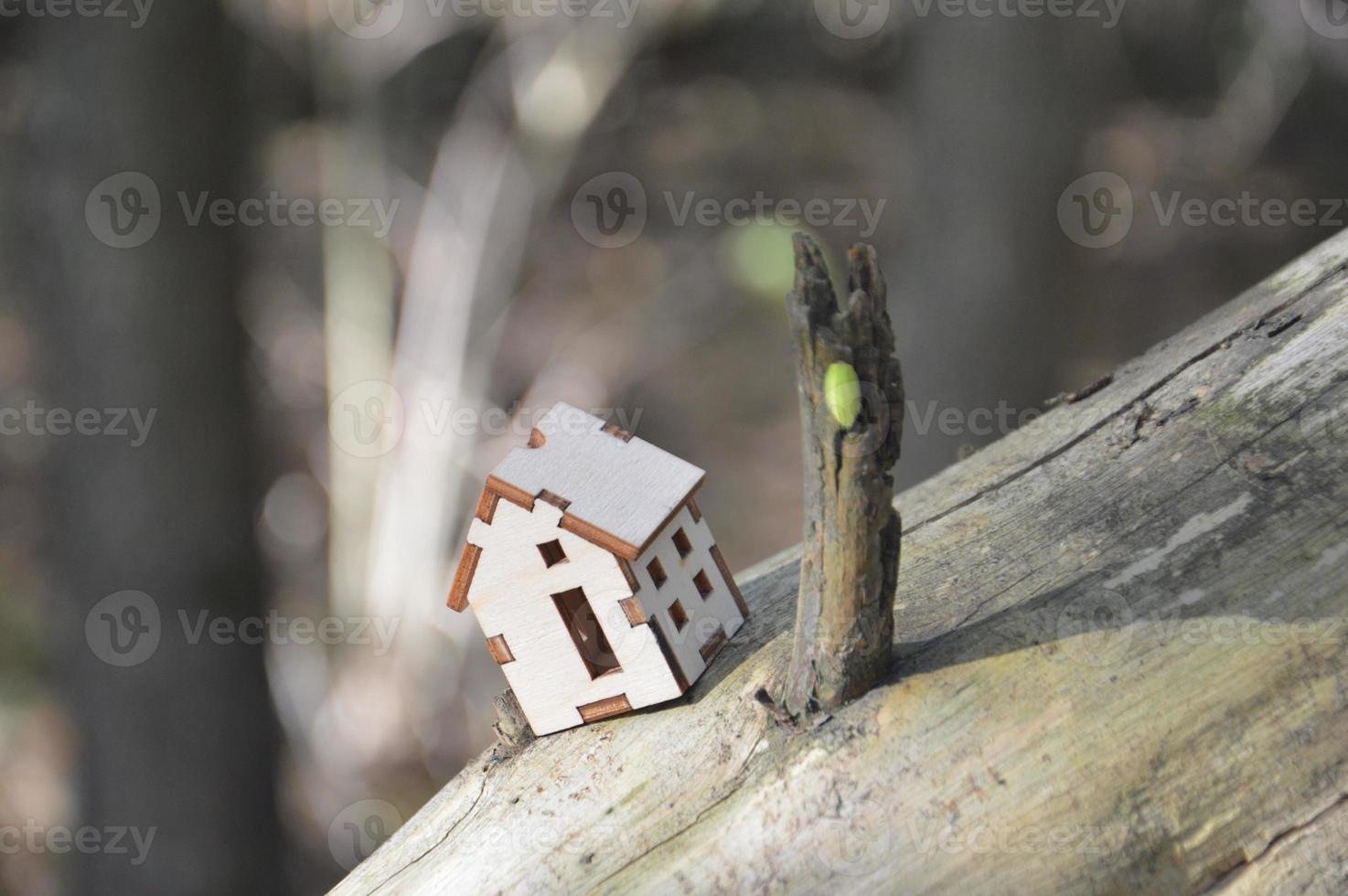 Model of a small wooden house in the forest photo