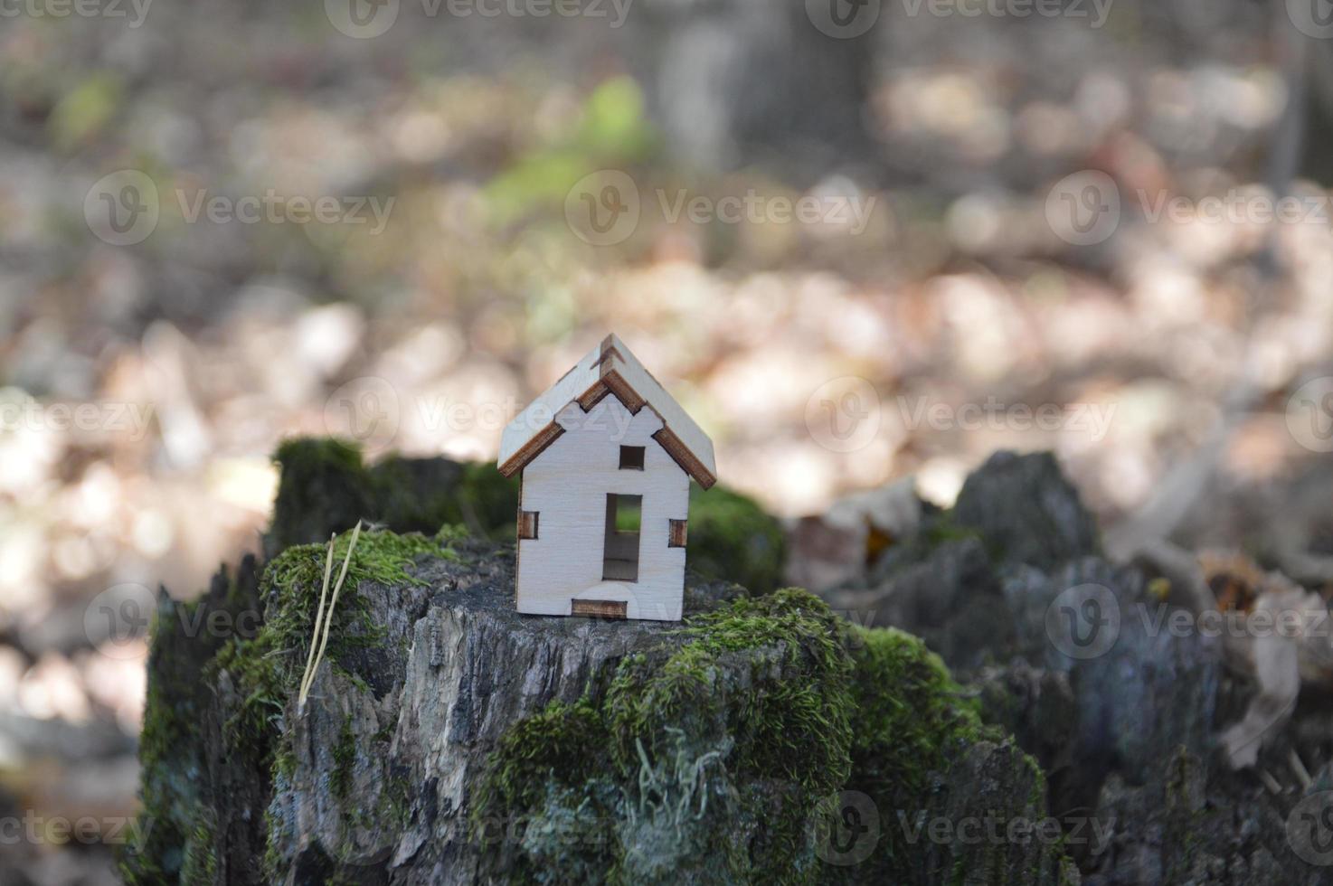 Model of a small wooden house in the forest photo