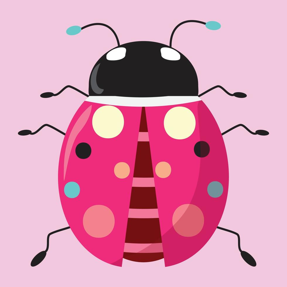 Pink lady bug on pink background. Cute bug. vector