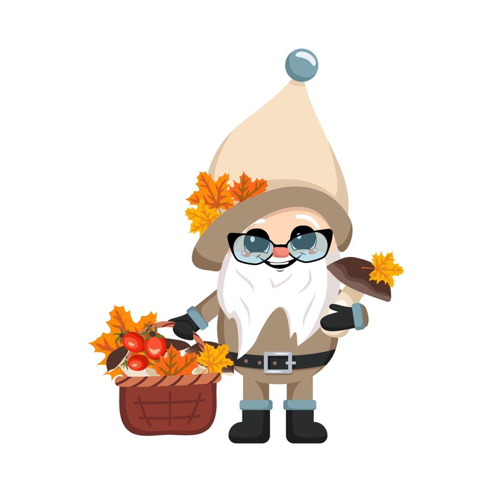 Little gnome with long white beard, cheerful face with basket of mushrooms and maple leaves. Character for harvest autumn festival, Thanksgiving Day, decorate house and garden vector