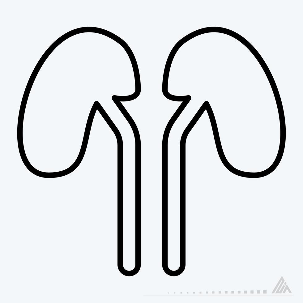 Icon Vector of Kidney - Line Style