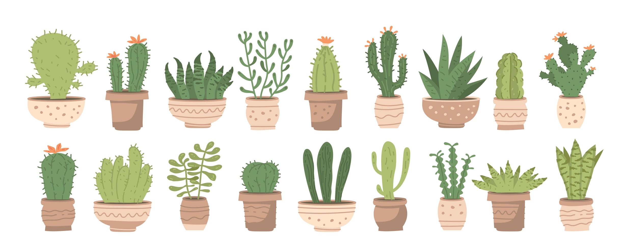 grandes plantas de interior con diferentes cactus lindos y suculentas en macetas vector