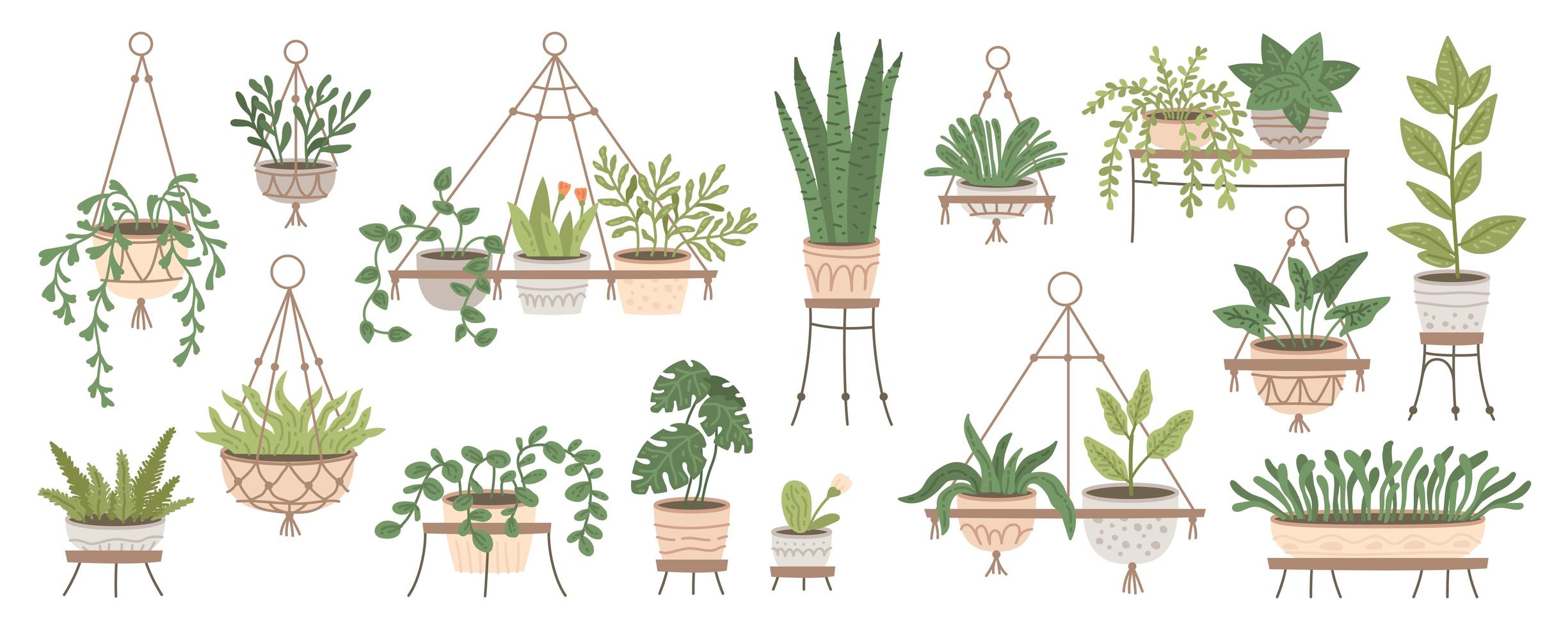 conjunto de plantas en macetas colgantes y macetas sobre soportes. jungla casera vector