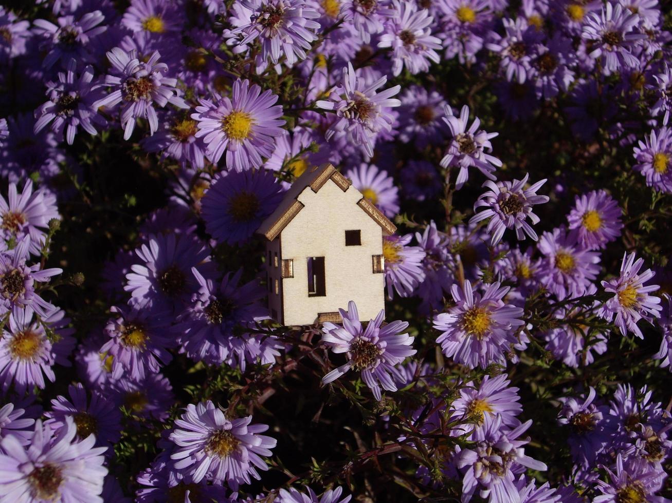 Model of a small wooden house in flowers photo