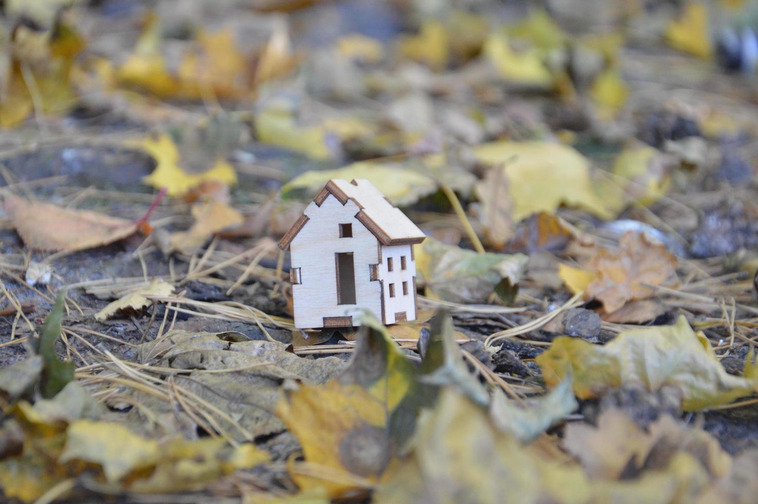 Model of a small wooden house in the forest photo