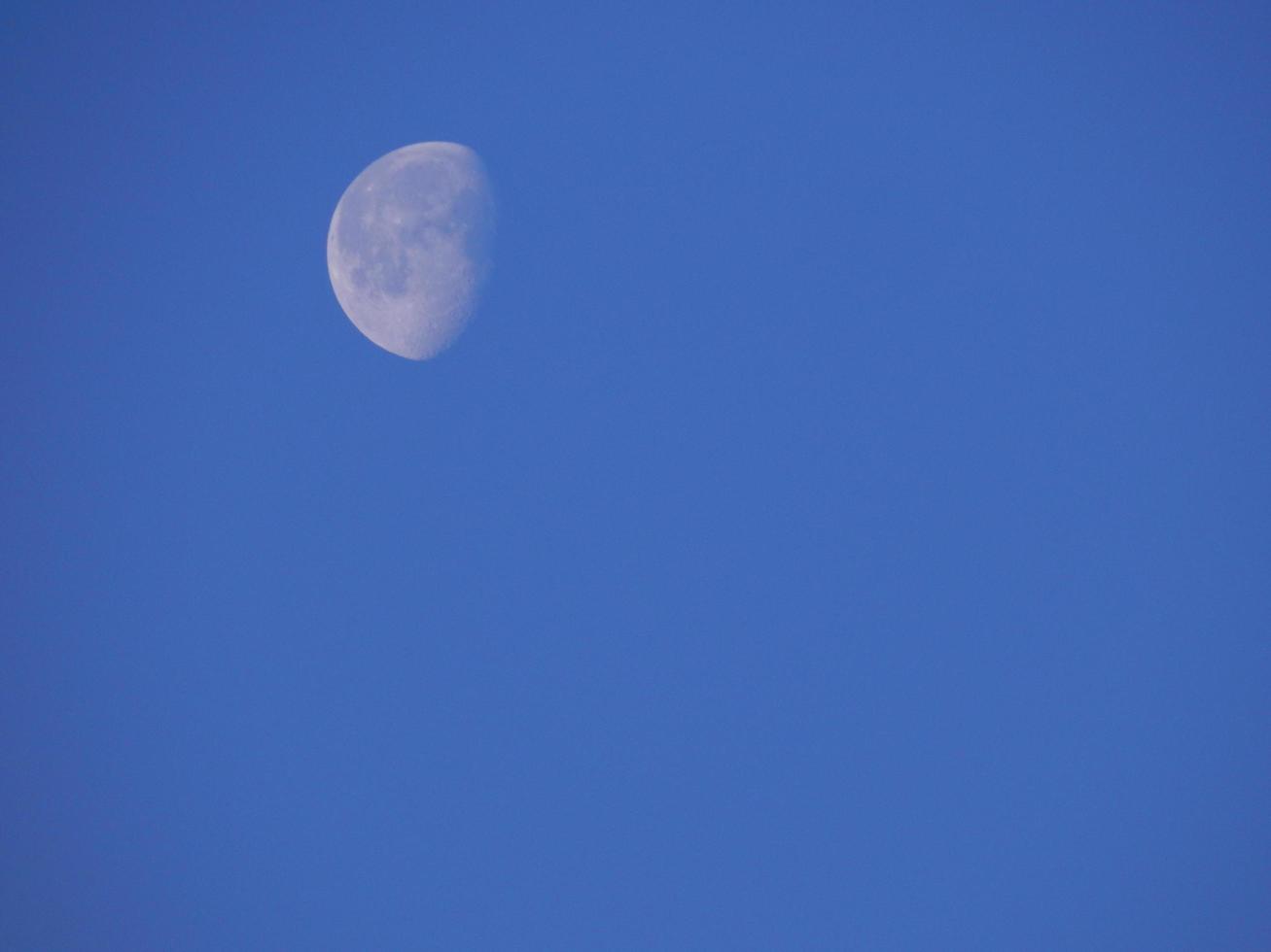 Moon early in the morning in the countryside photo