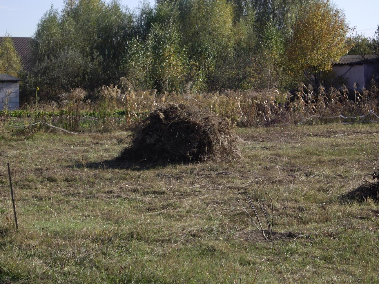 Haystack in the village and garden photo