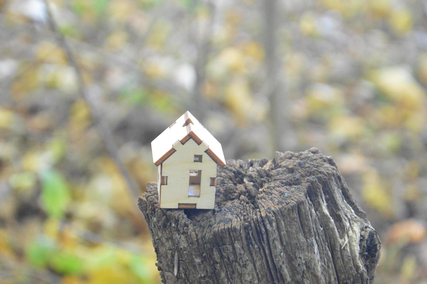Model of a small wooden house in the forest photo
