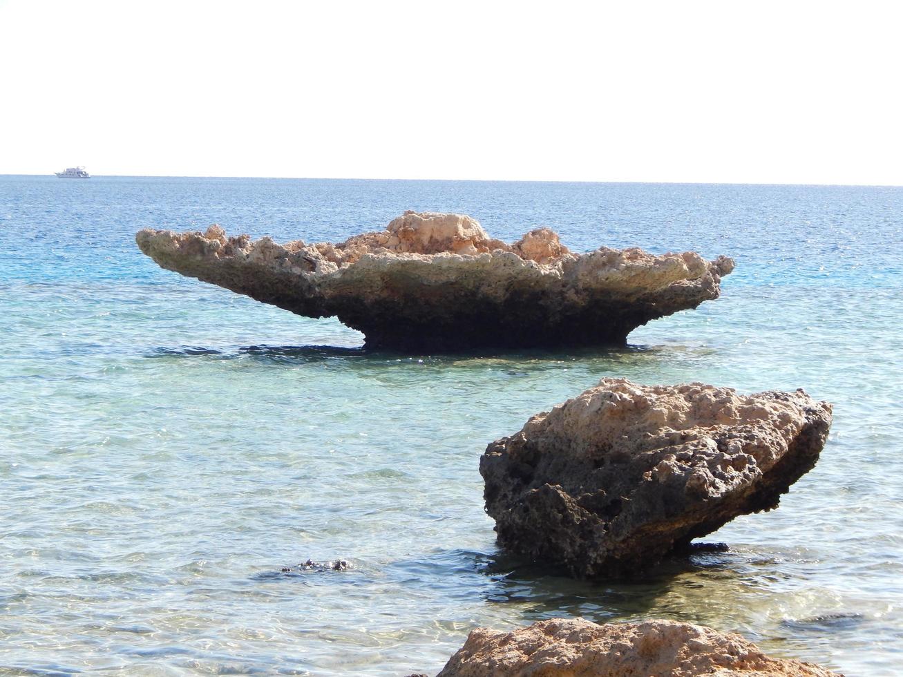 textura de piedra en el mar rojo de egipto foto