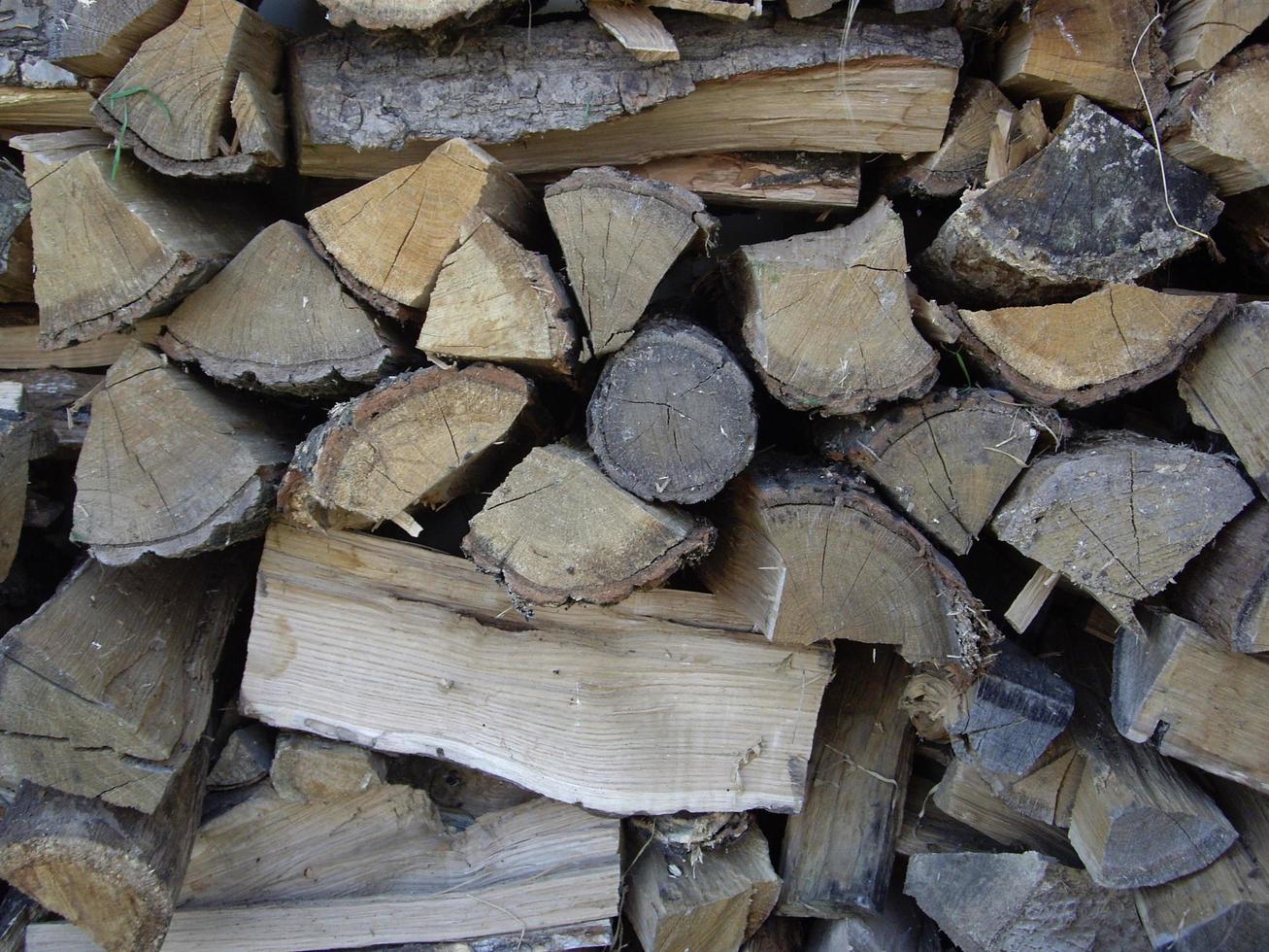 Chopping wood from palen for the winter for the stove photo