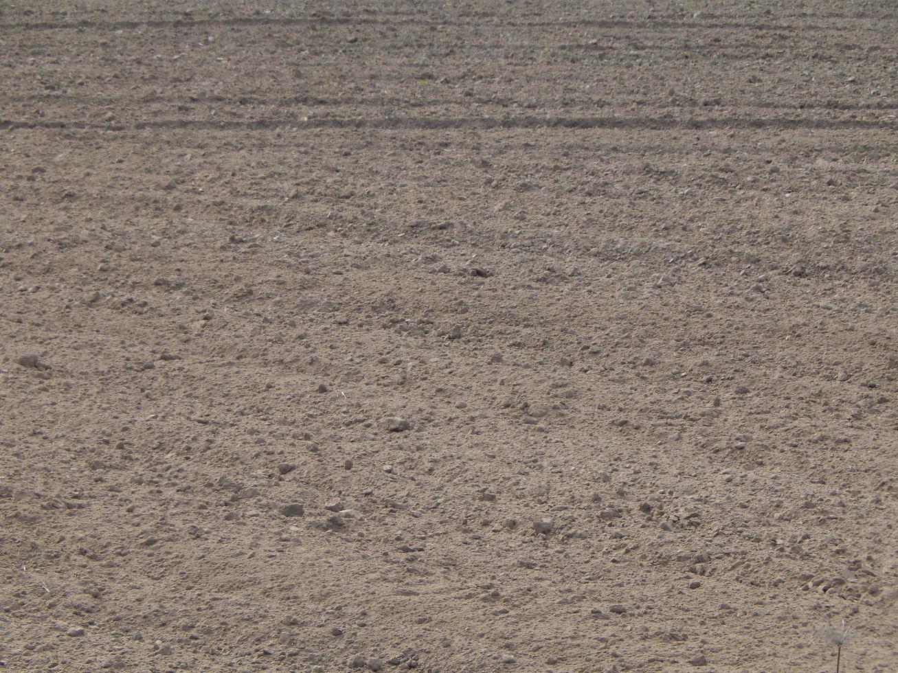 Texture of the land plowed by a plow field photo