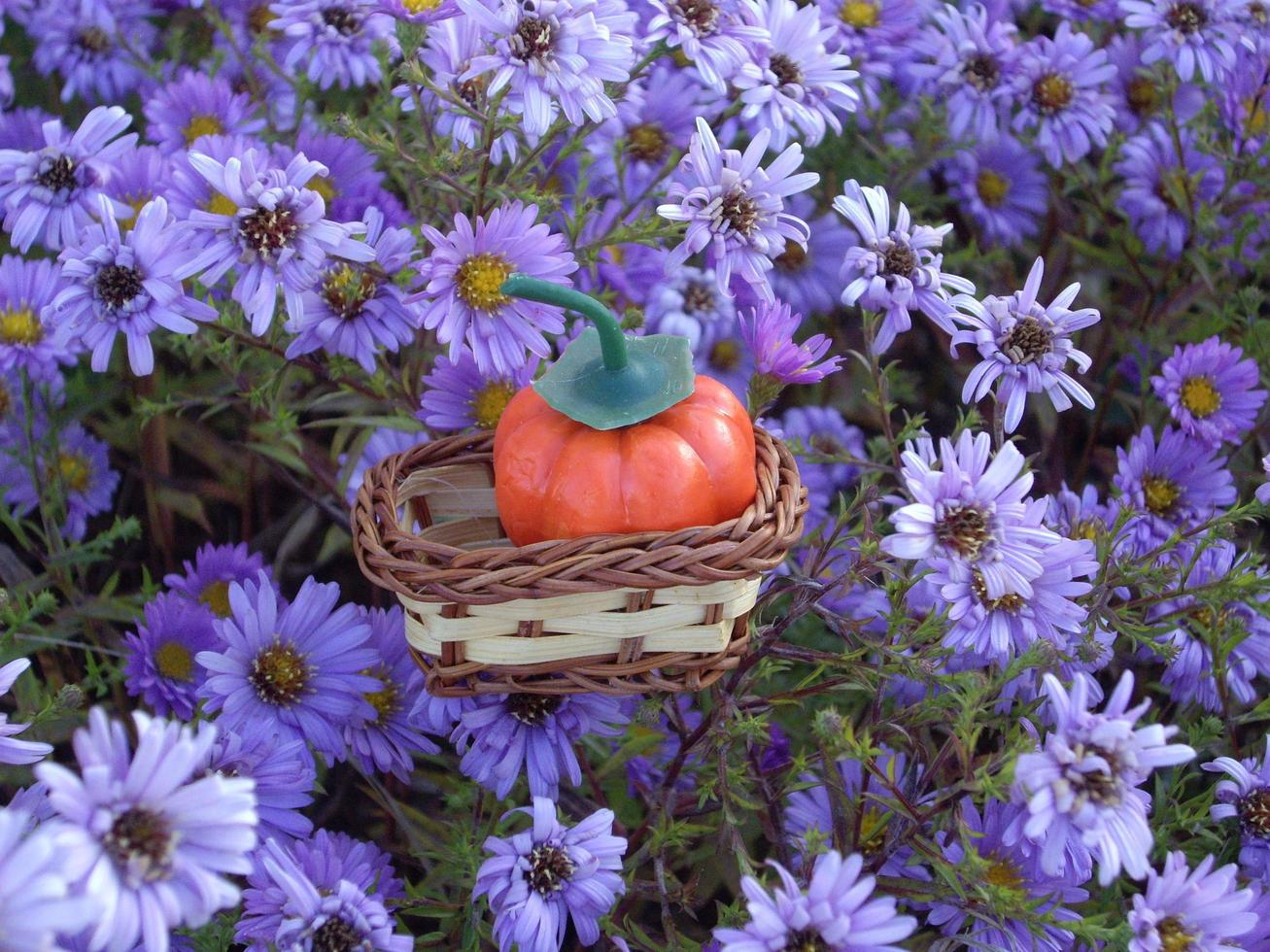 Autumn pumpkin on a background of blue flowers for halloween photo