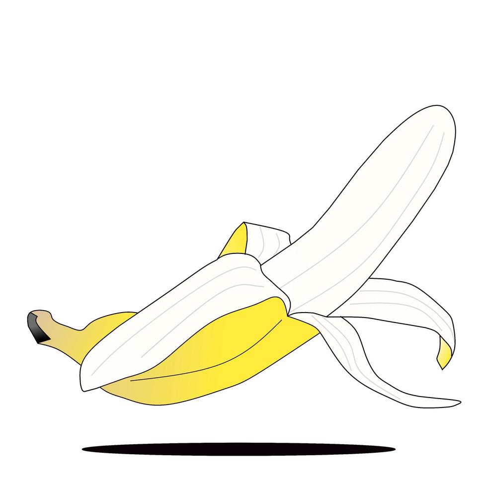 a peeled banana vector. food and beverage business. vector