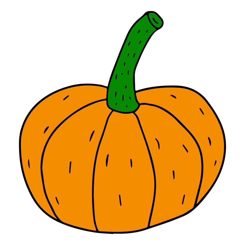 Cartoon linear doodle retro pumpkin isolated on white background. Harvest icon. vector