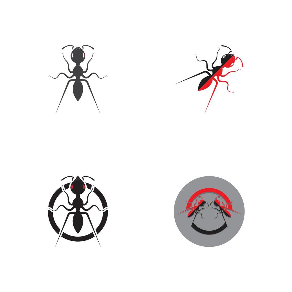 Ant vector illustration design