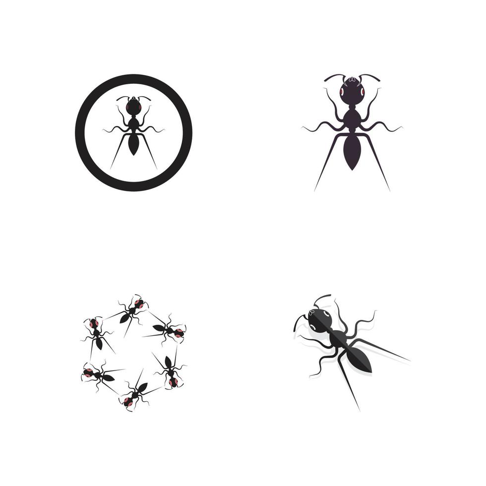 diseño de ilustración de vector de hormiga
