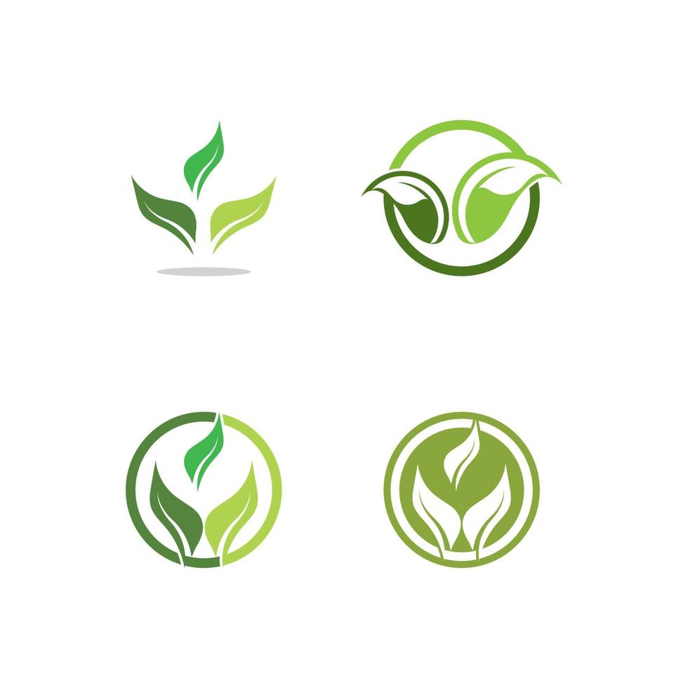 Logos of green Tree leaf ecology vector