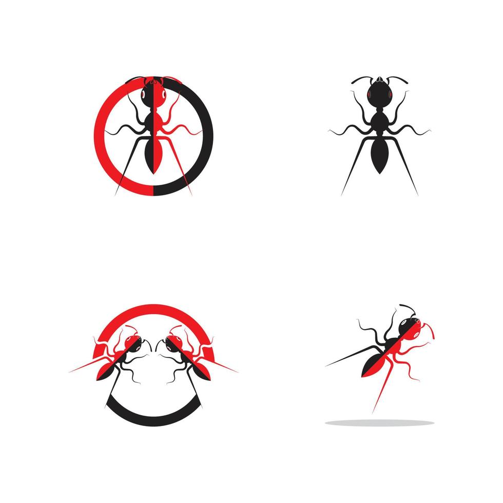 Ant vector illustration design