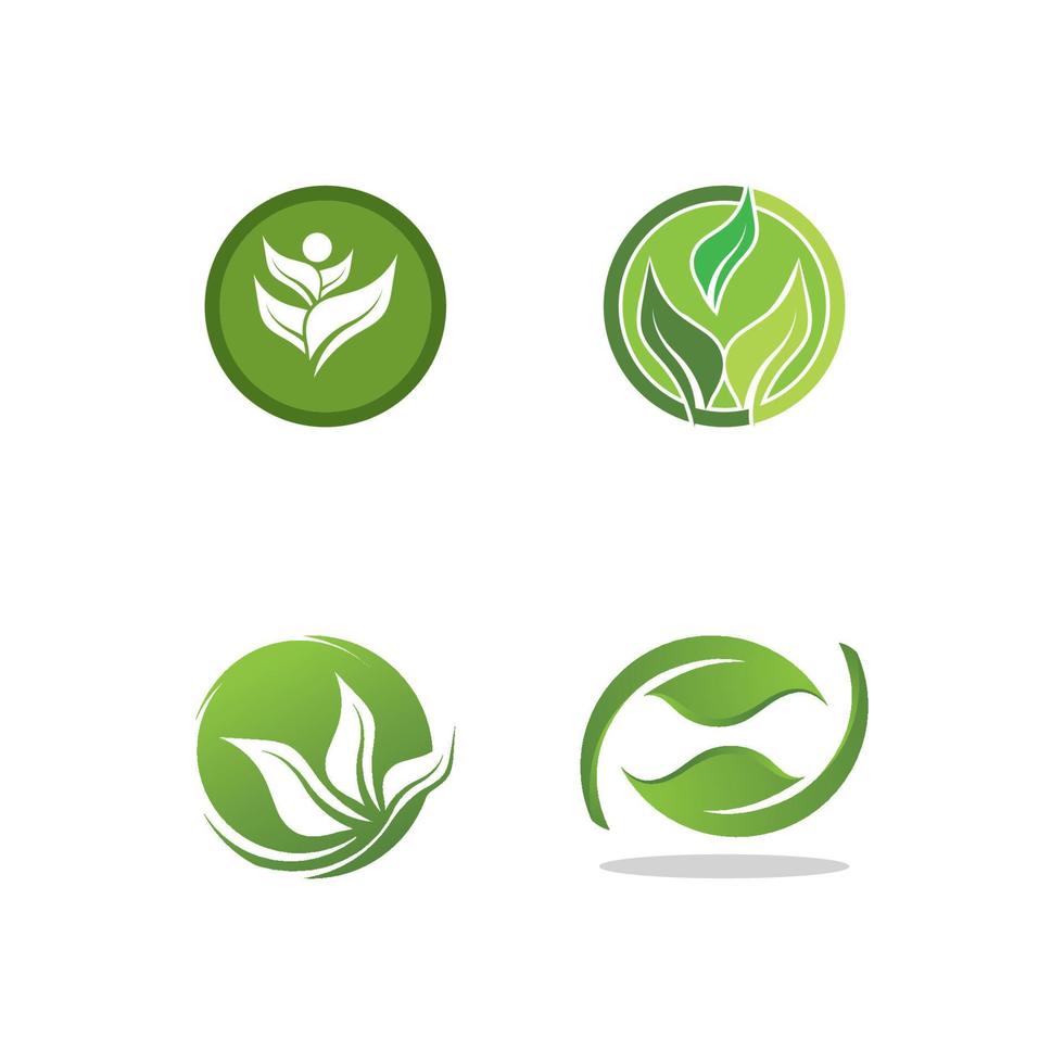 Logos of green Tree leaf ecology vector