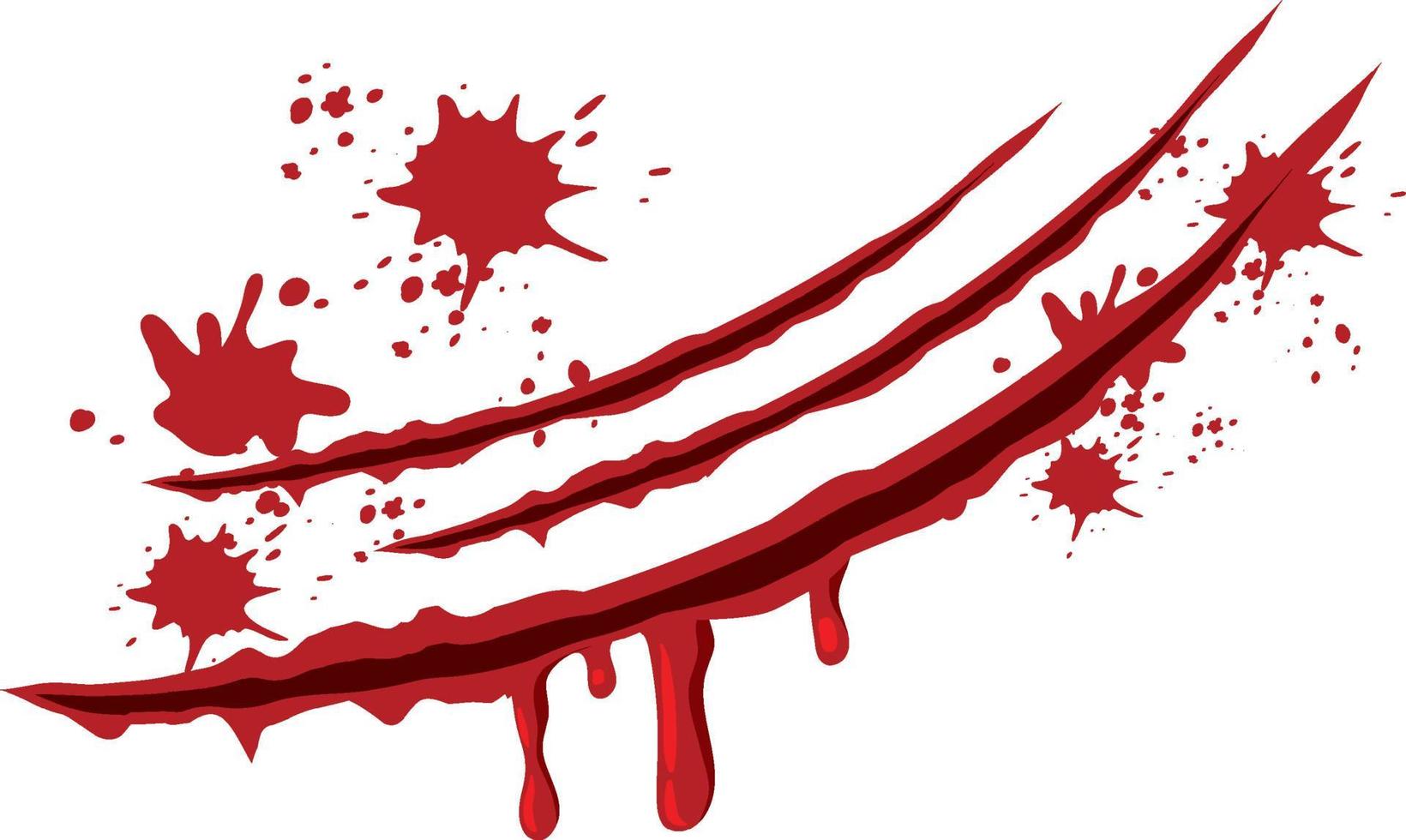 Blood claw scratch wounds on white background vector