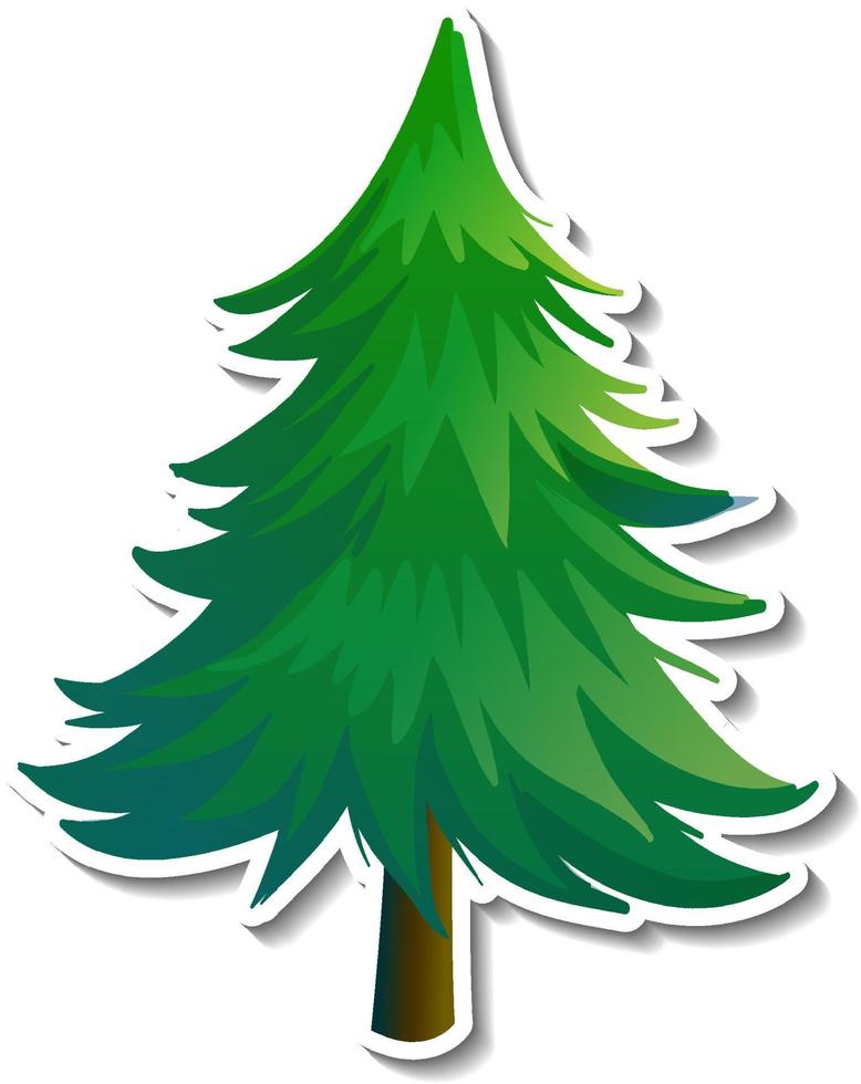 Pine tree sticker on white background vector