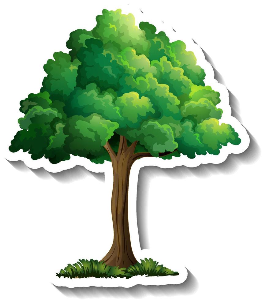 Tree sticker on white background vector