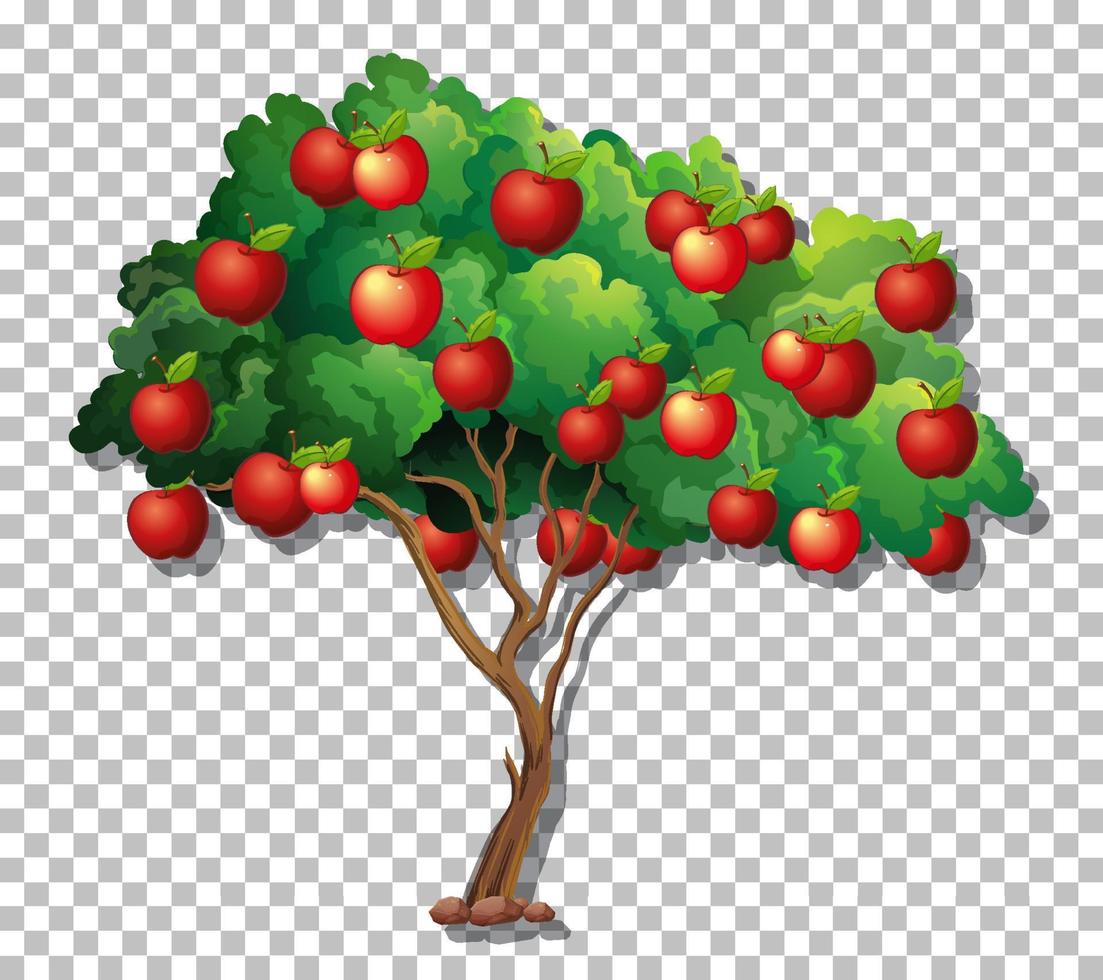 Apple tree on grid background vector