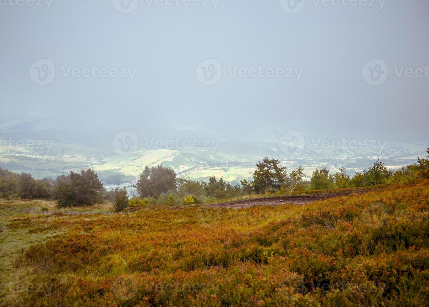 View of village covered in fog at Carpathian mountains photo