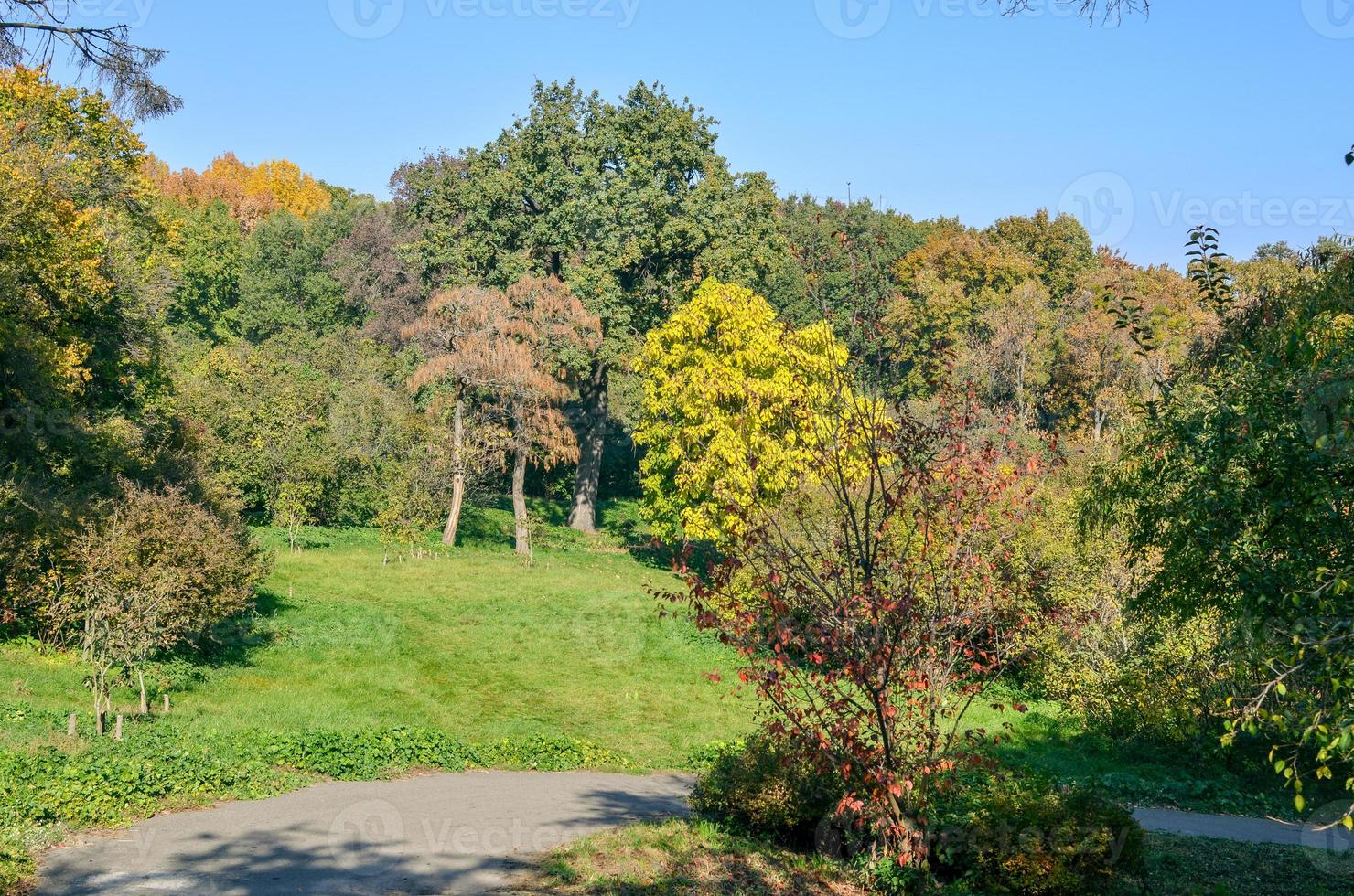 otoño dorado en el parque. hojas amarillas y rojas en los árboles foto