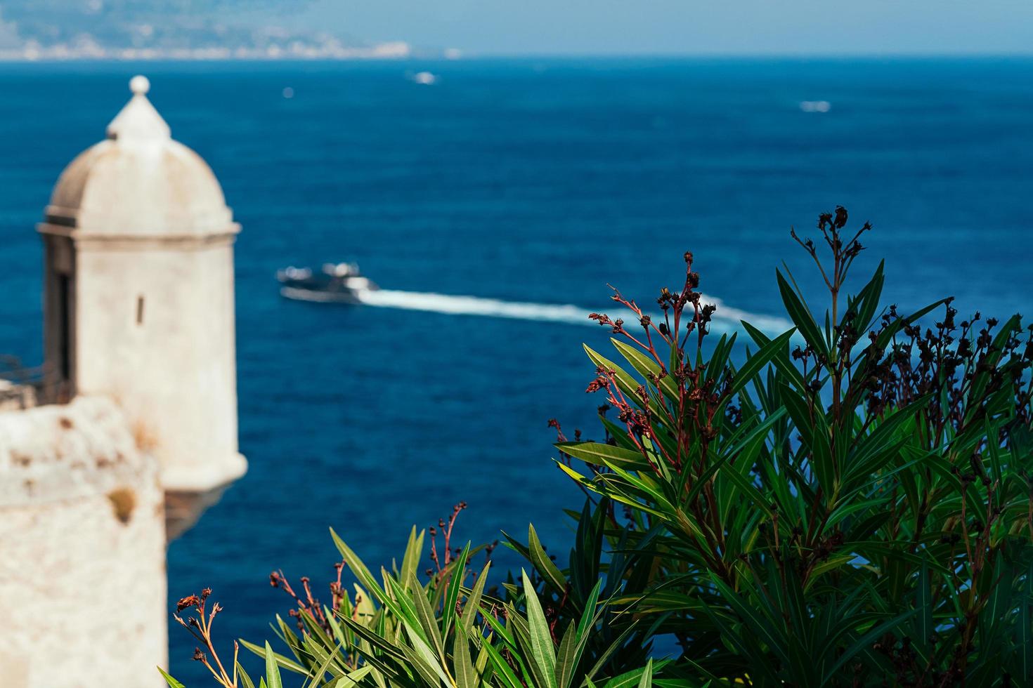 flores con mar borrosa y palacio del príncipe en mónaco foto