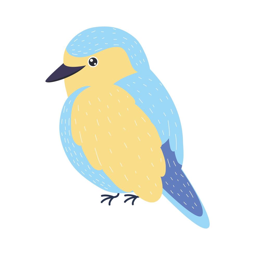 kingfisher bird specie vector