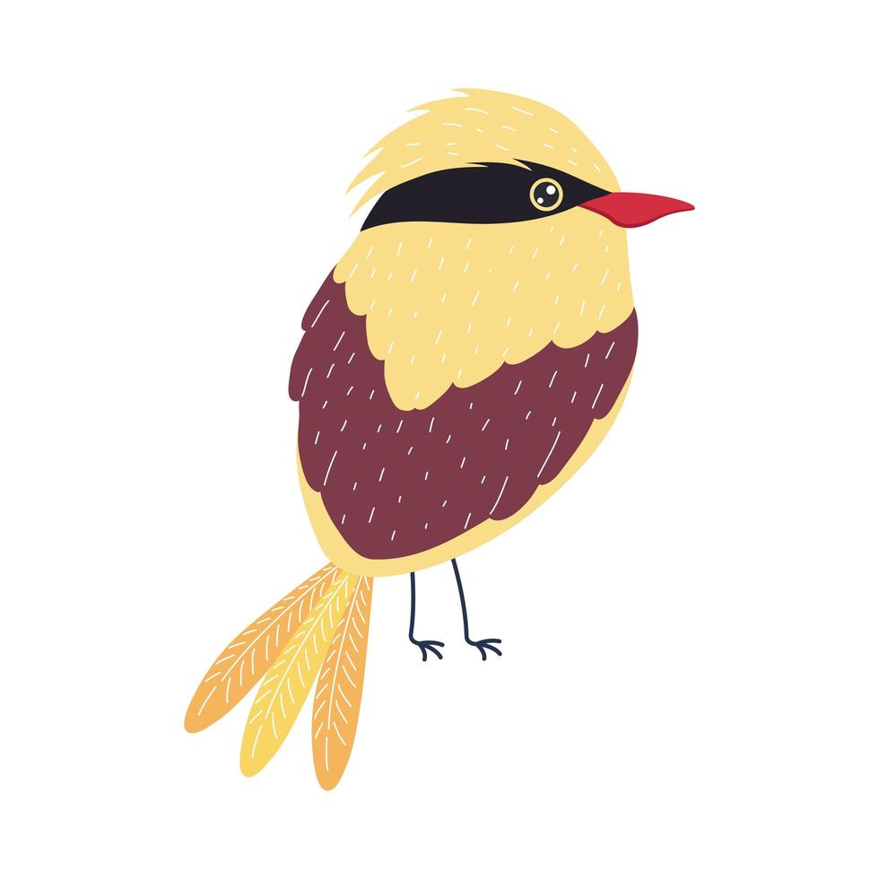 golden oriole bird vector