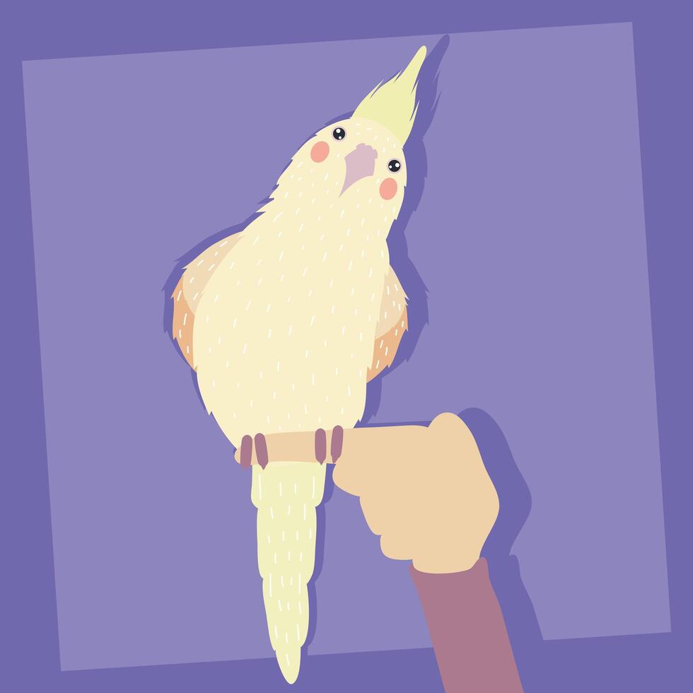 cockatoo exotic specie vector