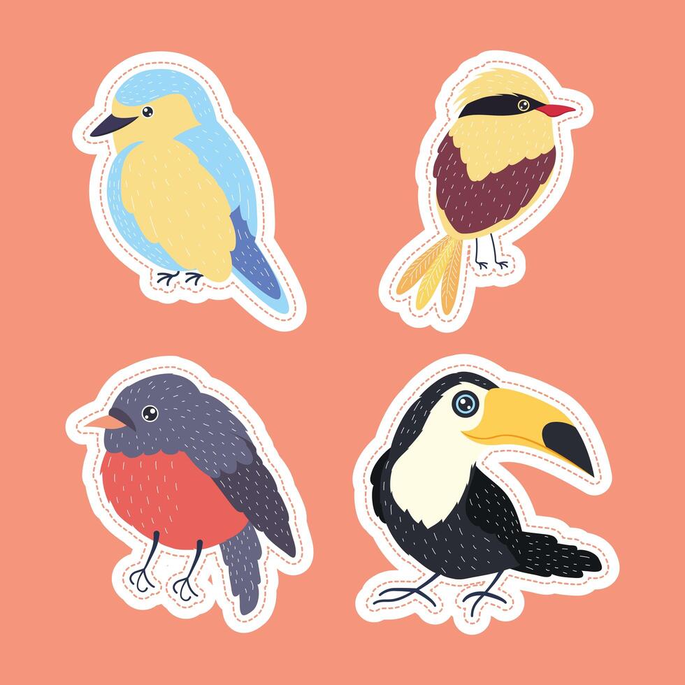 birds four species vector