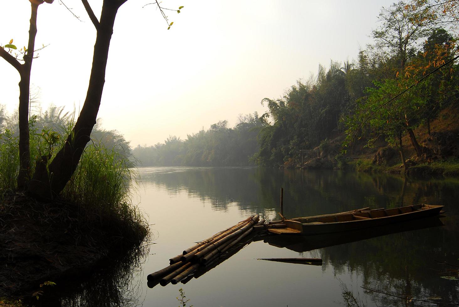 Beautiful nature of the water lake forest photo