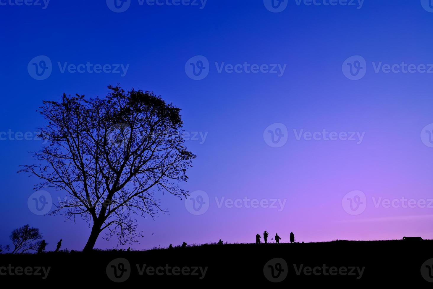 Silueta de joven fotógrafo tomando fotografías cerca del árbol del paisaje durante la puesta de sol foto