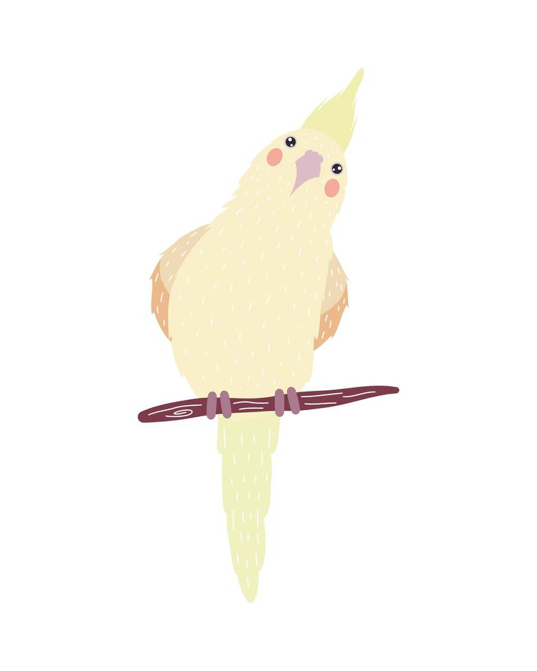 cockatoo bird specie vector