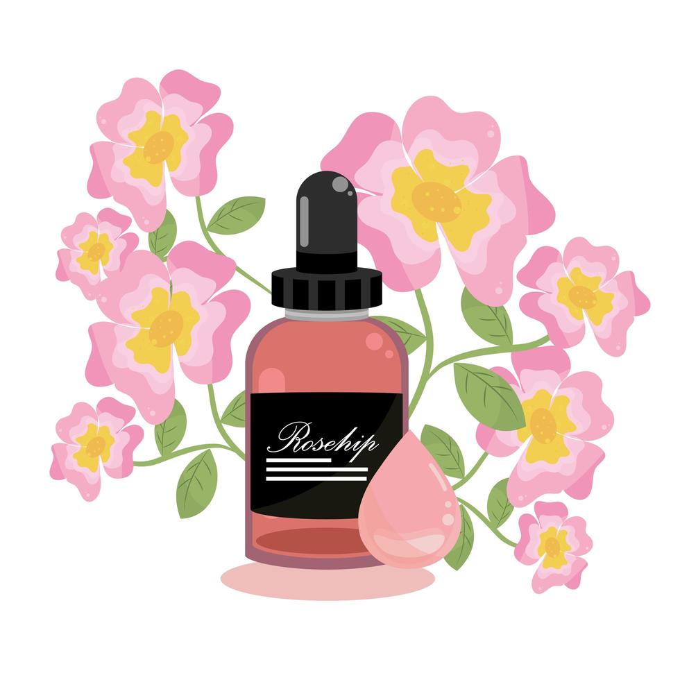 rosehip essential oil vector