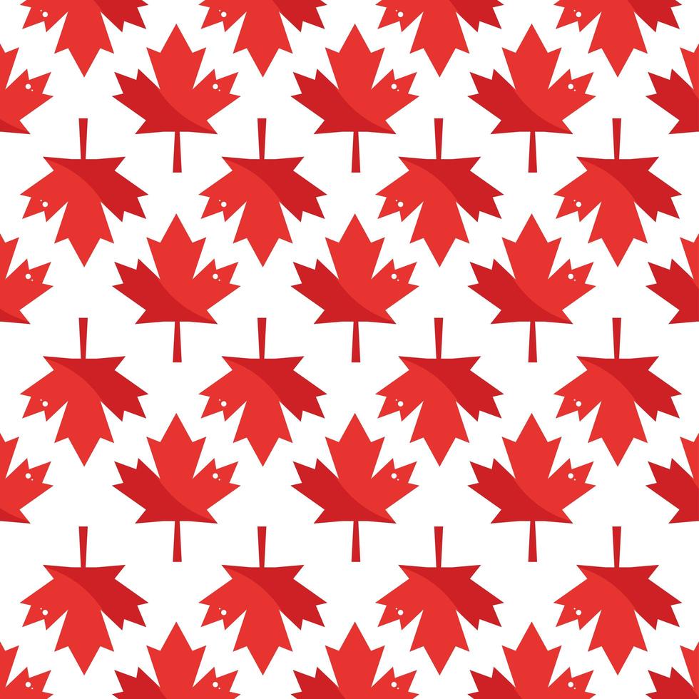 maple leaves red vector