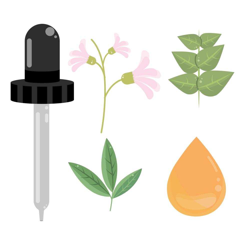 pipette oil flowers vector