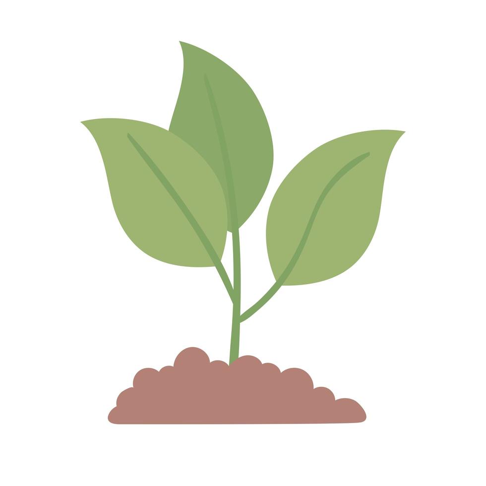 plant ecology nature vector