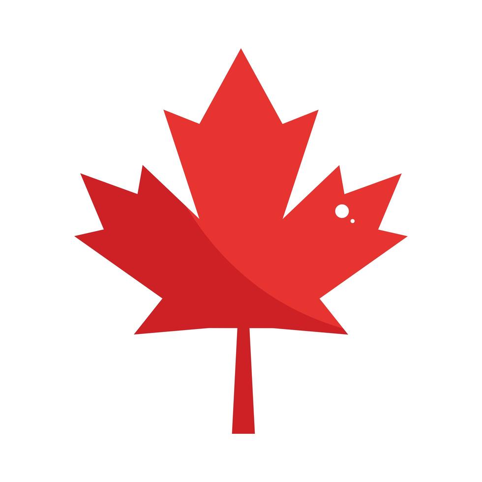 maple leaf nature vector