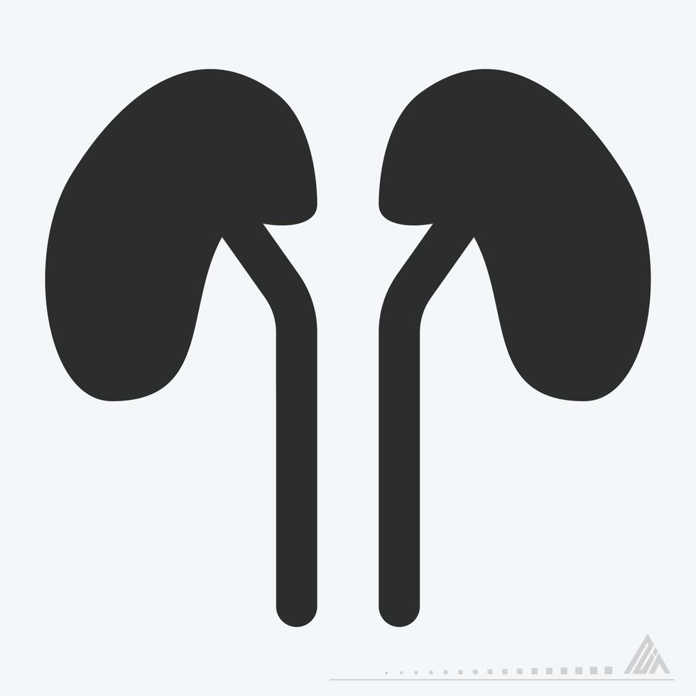 Icon Vector of Kidney - Glyph Style