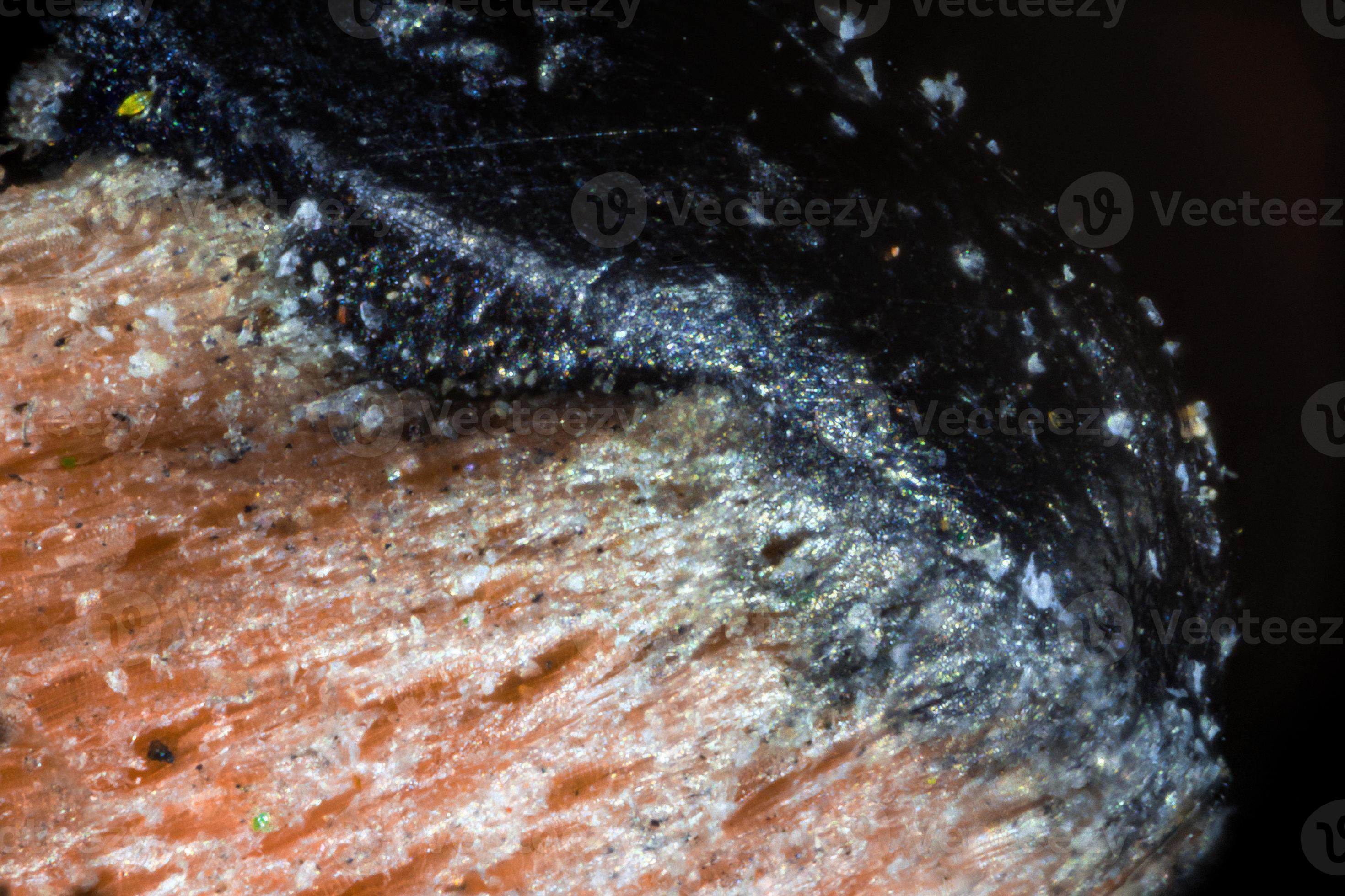 Pencil tip under the microscope 3703065 Stock Photo at Vecteezy